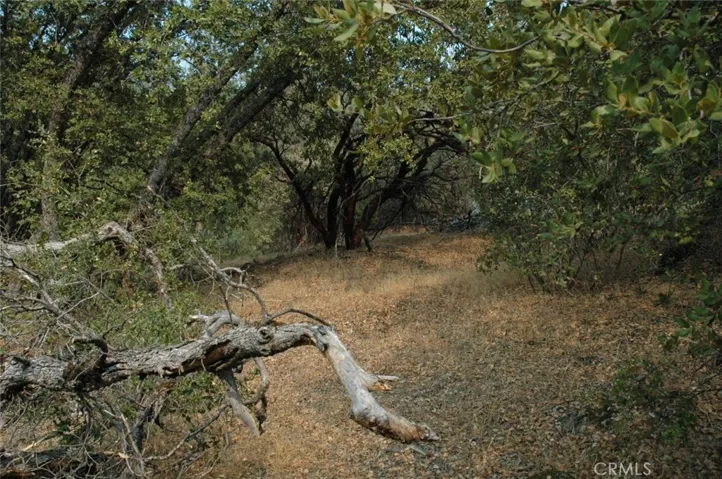 11 .57 Ac Jean Rd East, Oakhurst, California 93644
