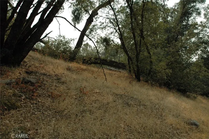 11 .57 Ac Jean Rd East, Oakhurst, California 93644