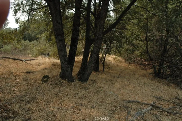 11 .57 Ac Jean Rd East, Oakhurst, California 93644