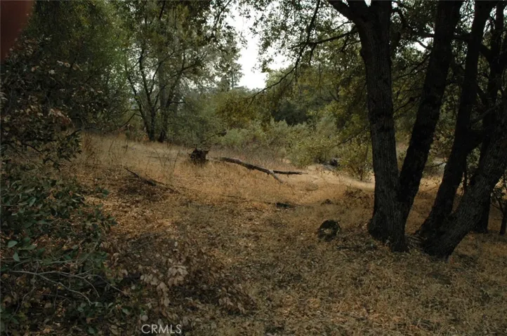 11 .57 Ac Jean Rd East, Oakhurst, California 93644