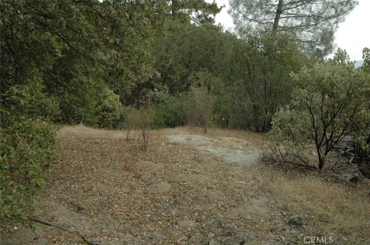 11 .57 Ac Jean Rd East, Oakhurst, California 93644