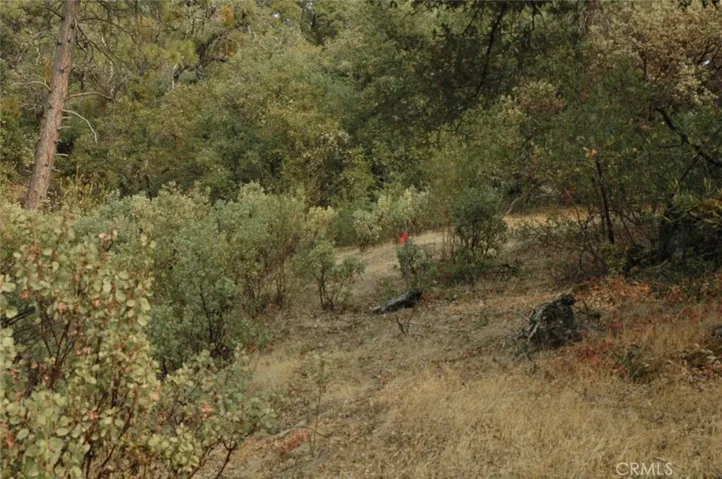 11 .57 Ac Jean Rd East, Oakhurst, California 93644