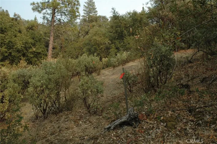 11 .57 Ac Jean Rd East, Oakhurst, California 93644