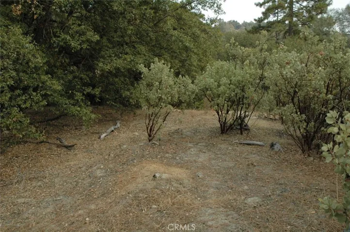 11 .57 Ac Jean Rd East, Oakhurst, California 93644