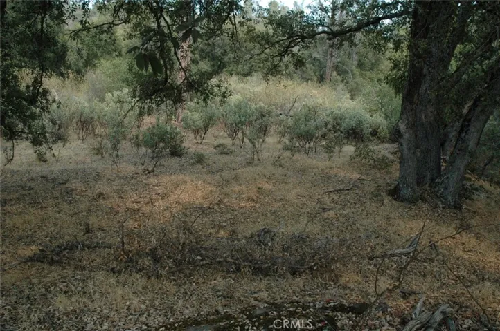 11 .57 Ac Jean Rd East, Oakhurst, California 93644