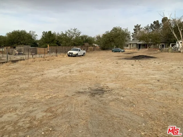 View from back lot.
