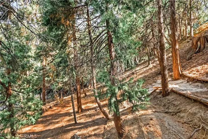 117 Joaquin Miller Road, Lake Arrowhead, California 92352