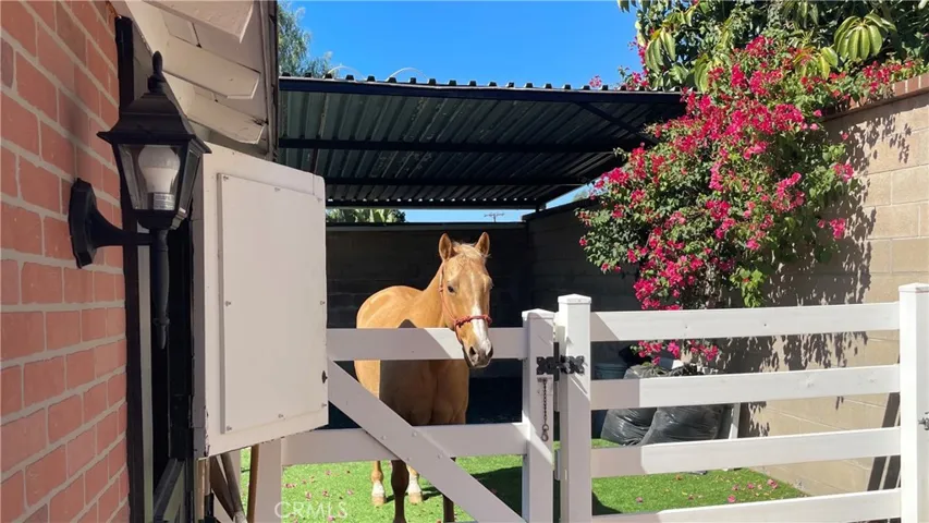 7117 E Clydesdale Avenue, Orange Park Acres, California 92869