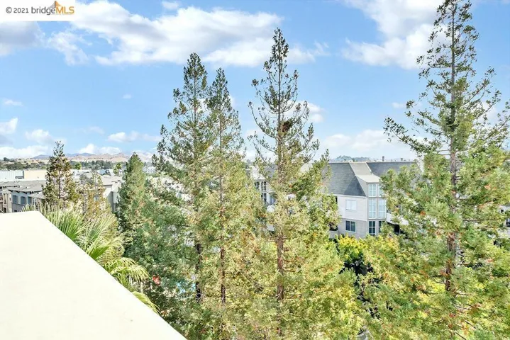 1315 Alma Ave 411, Walnut Creek, California 94596
