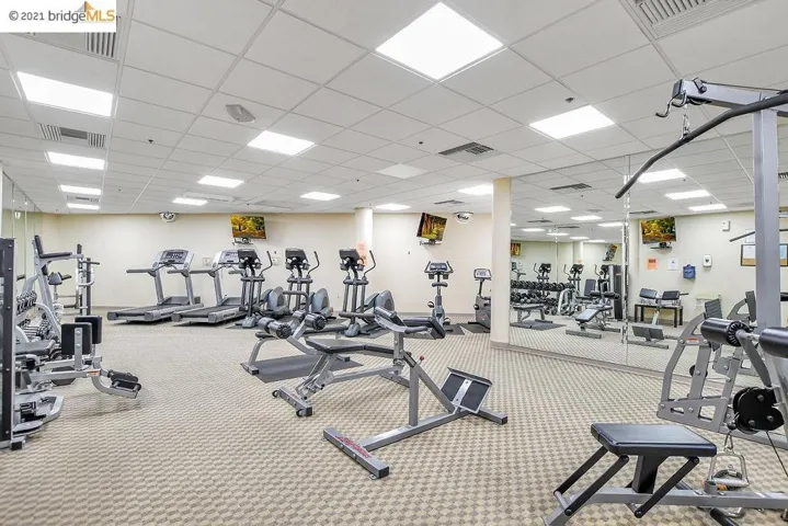 1315 Alma Ave 411, Walnut Creek, California 94596