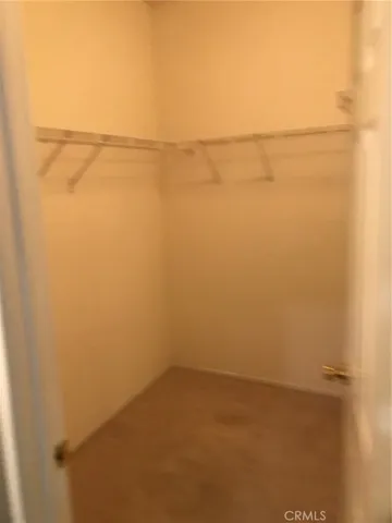 Master Walk in Closet