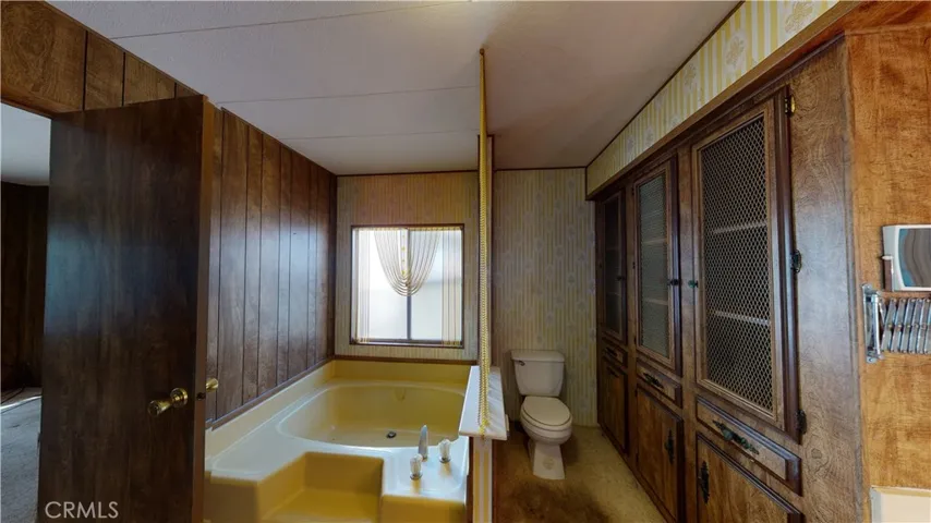 Toilet and Jacuzzi tub