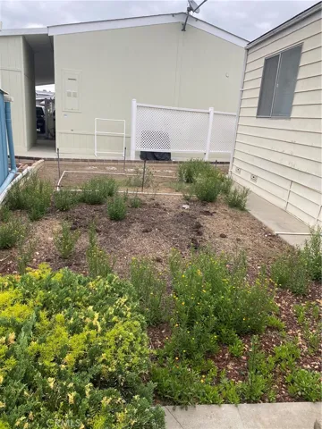 Garden area