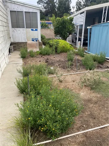 Garden back side of house