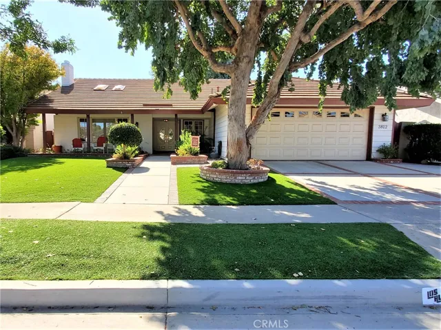 Always green with Tiger Turf lawn