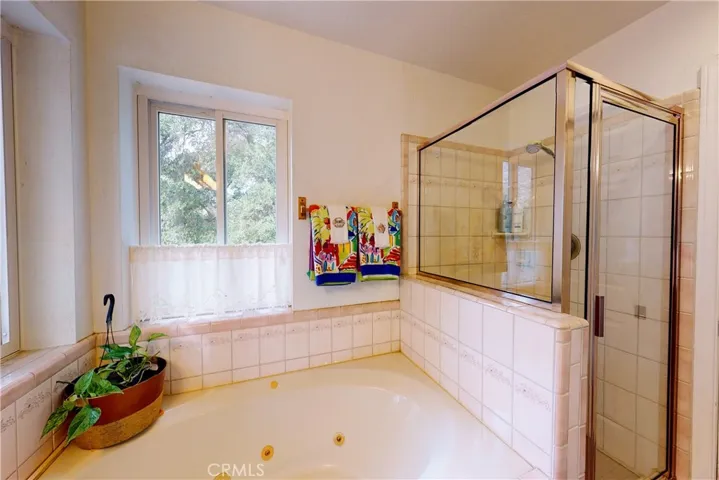 Master Bathroom Tub