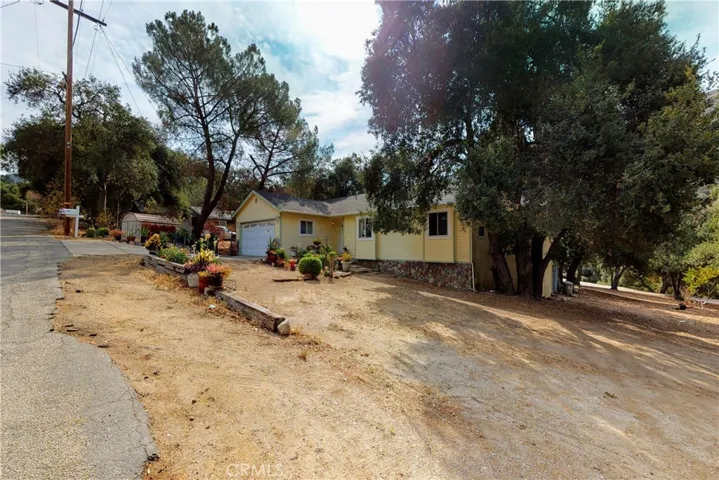 Frontyard