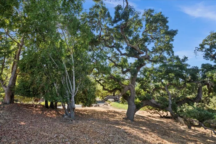, Morgan Hill, California 95037