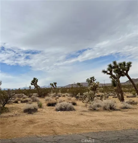 6607 Torres Avenue, Joshua Tree, California 92252