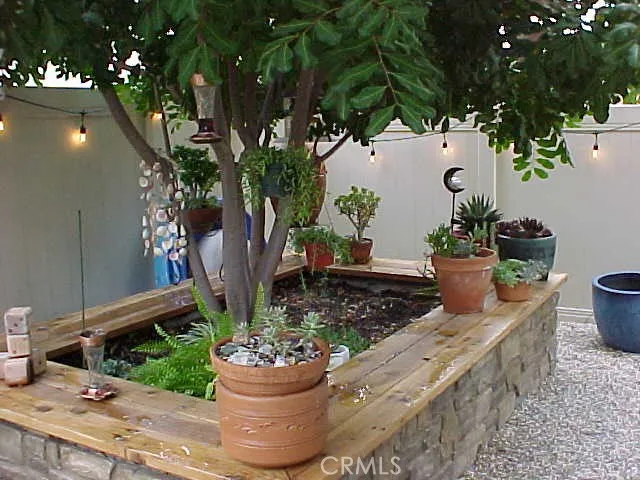 Seating Built Around Tree