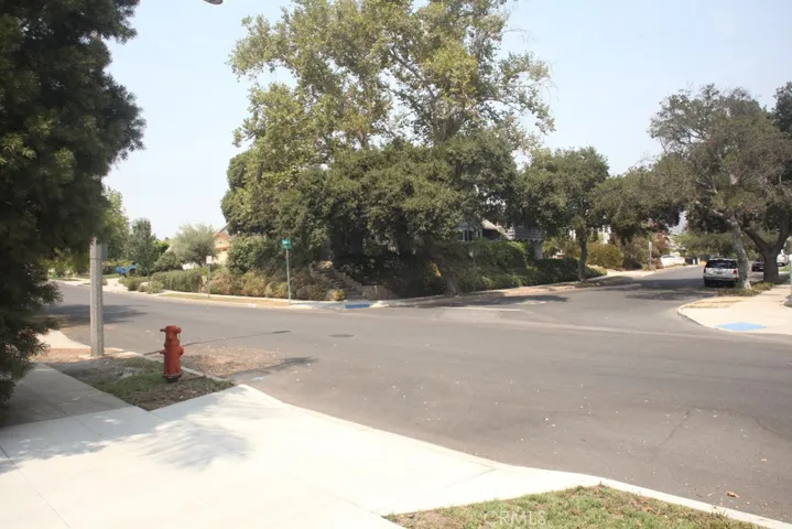 View across street from front lawn.  Horses
frequently pass by on their way to trails!