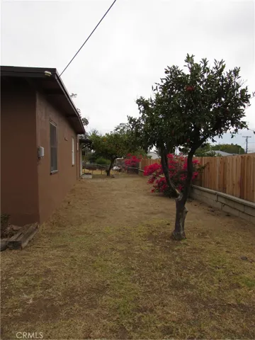 Side yard with fruit trees