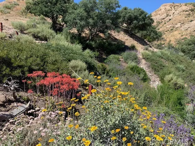 15004 Daffodil Avenue, Canyon Country, California 91387