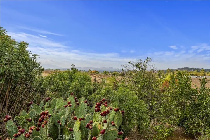 6901 Sandtrack Road, Riverside, California 92506