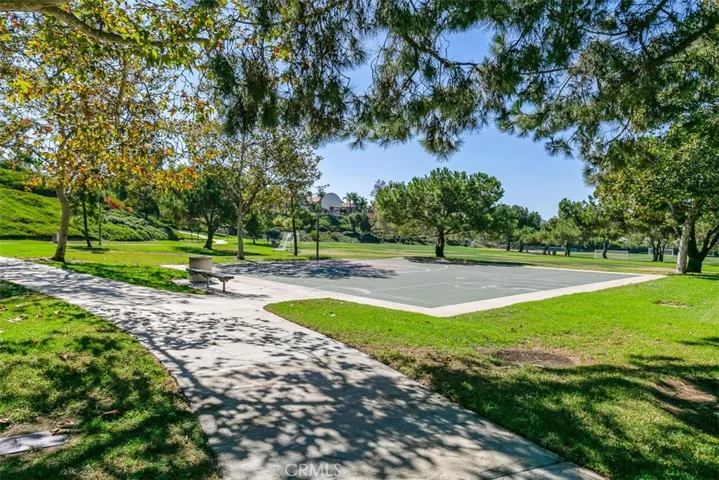 SPORTS COURT