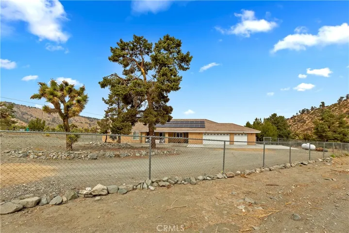 Front fencing/trees
