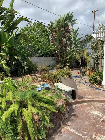 Beautiful Back Yard