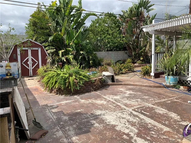 Beautiful Back Yard