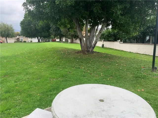 Picnic Area