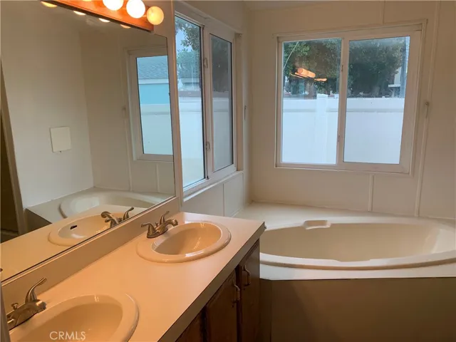 Master tub and vanity