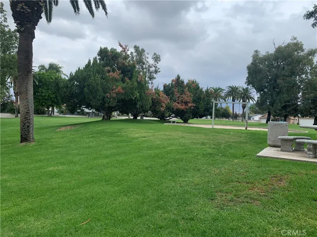 Park
