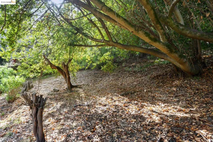 7163 Saroni Drive, Oakland, California 94611