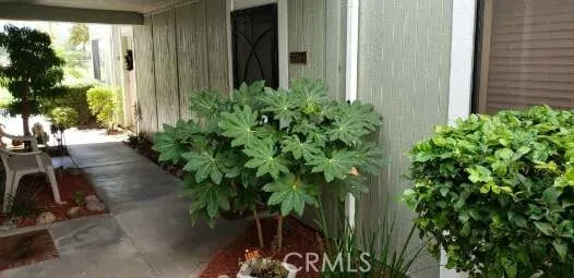27061 Crossglade Avenue 3, Canyon Country, California 91351