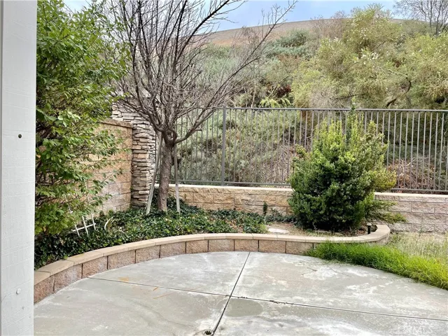 Back yard