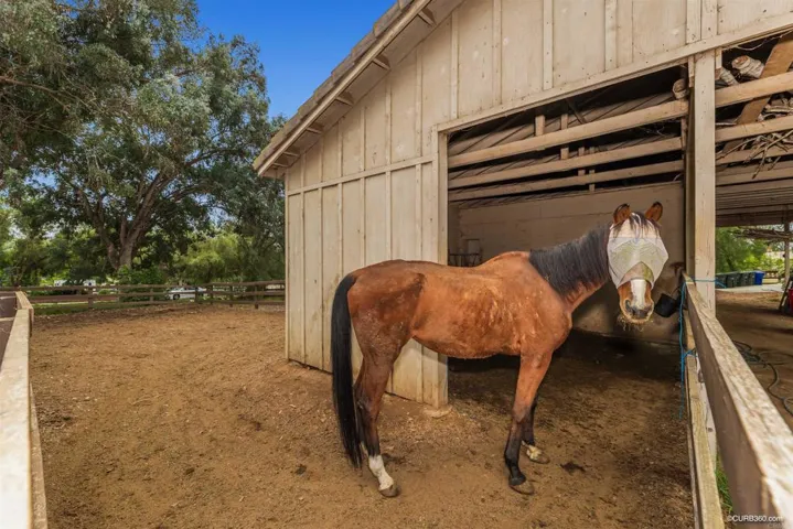 8 Saddle Creek Rd, Fallbrook, California 92028