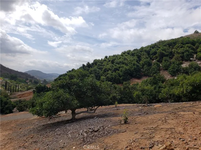45100 La Cruz Drive, Temecula, California 92590