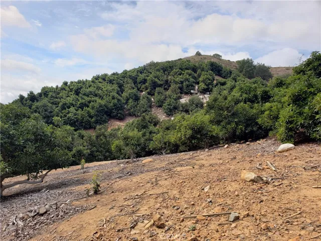 45100 La Cruz Drive, Temecula, California 92590