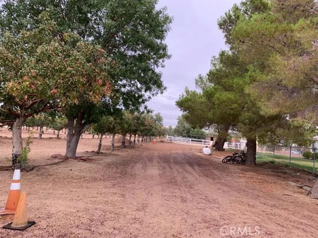 33979 Fremont Road, Newberry Springs, California 92365