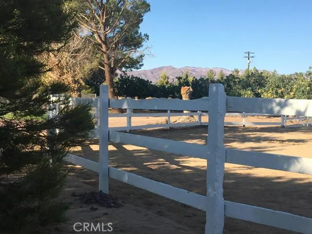 33979 Fremont Road, Newberry Springs, California 92365