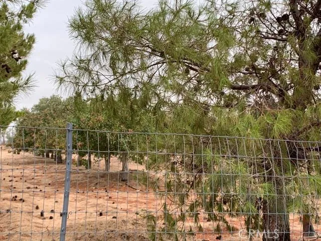 33979 Fremont Road, Newberry Springs, California 92365