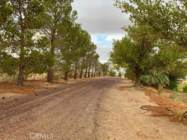 33979 Fremont Road, Newberry Springs, California 92365