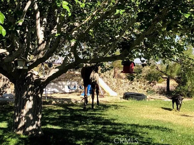 33979 Fremont Road, Newberry Springs, California 92365