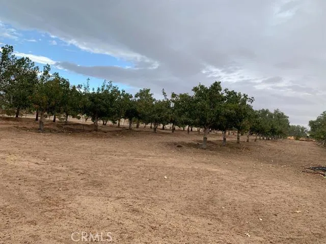 33979 Fremont Road, Newberry Springs, California 92365