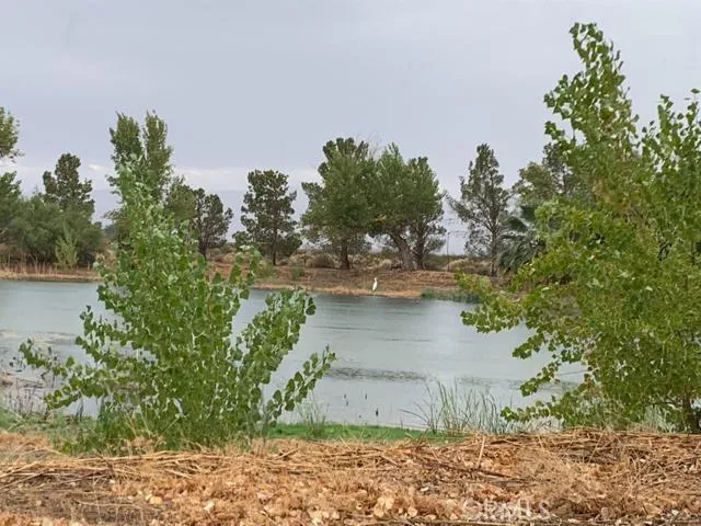 33979 Fremont Road, Newberry Springs, California 92365