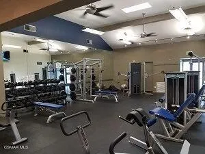 sgym8