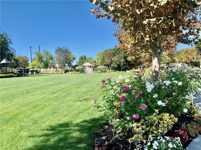 Community Park